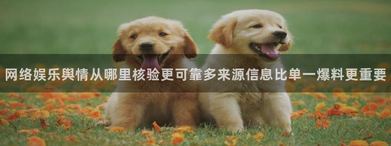 理性吃瓜今日更新