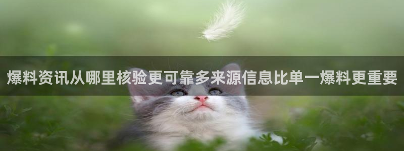网红吃瓜热点汇总