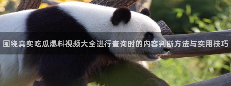 独家吃瓜事件始末