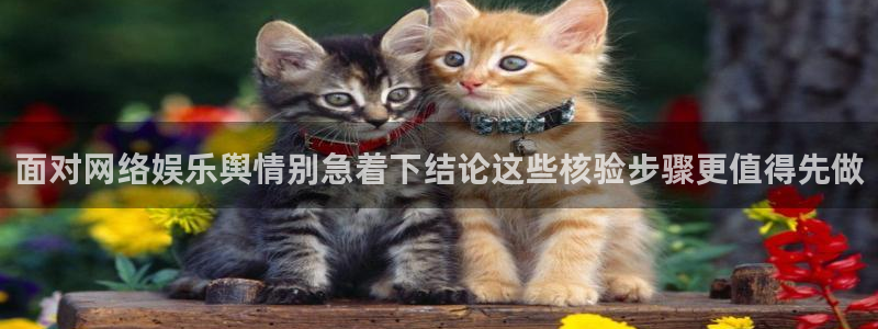 社会热点原始出处