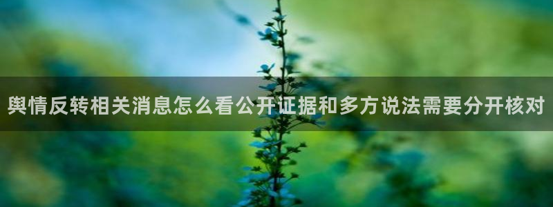 网络热点事件始末